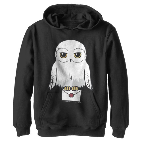 Harry Potter Kids Deathly Hallows Anime Hedwig Mail Youth Pullover Hoodie, Black, Medium