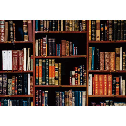 OERJU 10x6.5ft Retro Ancient Bookcase Photography Background Hardcover Bookshelf Book Cabinet Library Literary Education Culture Backdrop Vinyl Adult Portrait Interior Decoration Photo Studio Props OERJU 10x6.5ft Retro Ancient Bookcase Photography Background Hardcover Bookshelf Book Cabinet Library Literary Education Culture Backdrop Vinyl Adult Portrait Interior Decoration Photo Studio Props