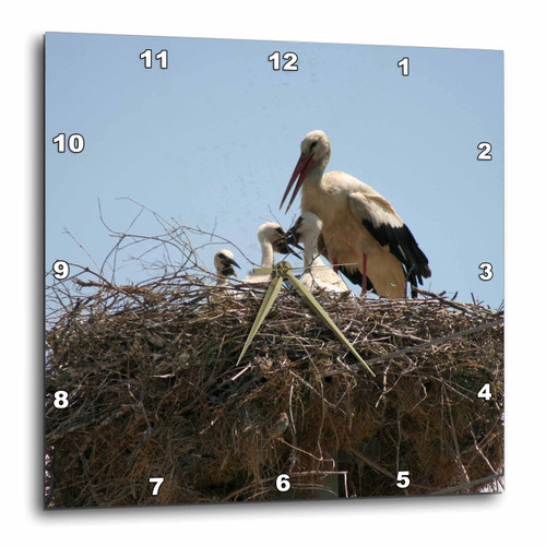 3dRose Taiche - Photography - Stork - Stork and Storklets On The Nest - Wall Clocks (dpp-364781-1)