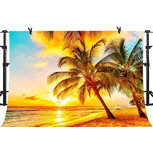 Tropical Beach Backdrops Sunrise Sunset Coconut Trees Photography Backgrounds Vinyl 10x7ft YouTube Portrait Photo Backdrop Art Studio Props PHMOJEN PPH488 Tropical Beach Backdrops Sunrise Sunset Coconut Trees Photography Backgrounds Vinyl 10x7ft YouTube Portrait Photo Backdrop Art Studio Props PHMOJEN PPH488