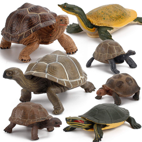 Fantarea 7 PCS Tortoise Wild Animal Model Figures Soft-shelled Turtle Elephant Tortoise Figurines Party Favors Supplies Cake Toppers Decoration Set Toys for 5 6 7 8 Years Old Boys Girls Kid Toddlers Fantarea 7 PCS Tortoise Wild Animal Model Figures Soft-shelled Turtle Elephant Tortoise Figurines Party Favors Supplies Cake Toppers Decoration Set Toys for 5 6 7 8 Years Old Boys Girls Kid Toddlers