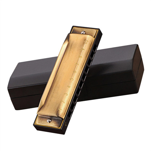 10 Holes 20 Tones C Key Diatonic Harmonica For Adults Beginners Students (Color : 02)