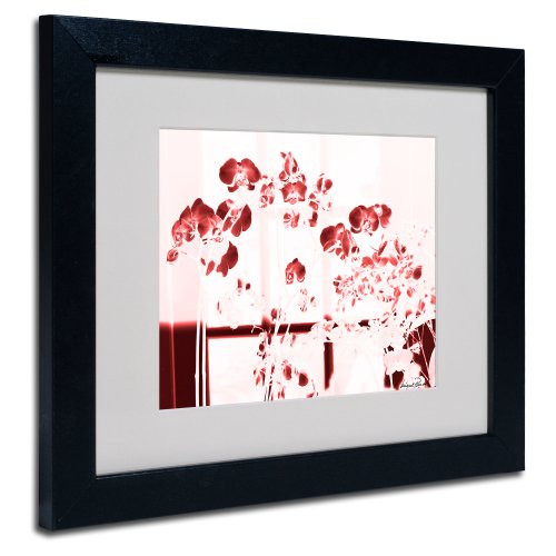 Red Orchids Canvas Wall Art by Miguel Paredes, Black Frame, 11 by 14-Inch