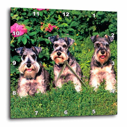 3dRose DPP_266_1 LLC Schnauzer Wall Clock, 10 by 10-Inch