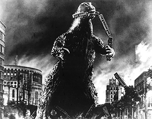 Posterazzi EVCMBDGODZEC009LARGE Godzilla Photo Print 20 x 16 Varies