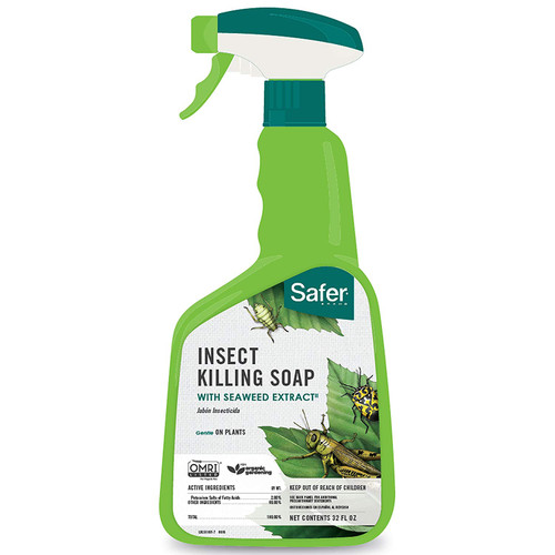 Safer Brand Insect Killing Soap, 32 oz.