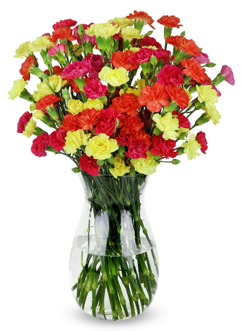 Benchmark Bouquets 20 stem Bright Mini Carnations, Next Day Prime Delivery, Fresh Cut Flowers, Gift for Anniversary, Birthday, Congratulations, Get Well, Home Decor, Sympathy, Easter, Mother's Day