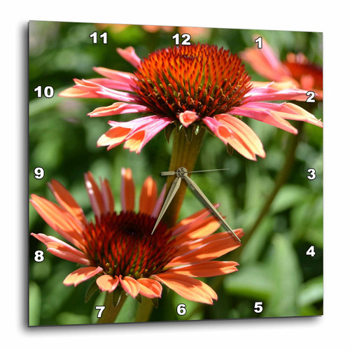 3dRose DPP_42782_1 Orange Echinacea Summer Garden-Flowers-Floral Photography-Wall Clock, 10 by 10-Inch
