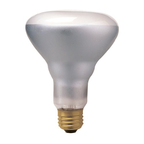 Bulbrite 860630 65 W Dimmable BR30 Shape Halogen Bulb ((E26) Base with Medium Screw, 6 Pack