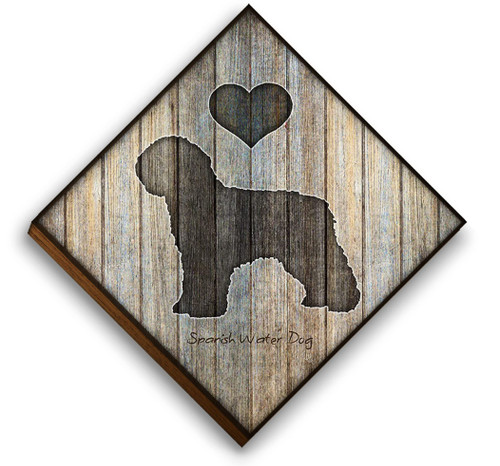 Spanish Water Dog Diamond Shaped Mounted Dog Art Print by Dan Morris