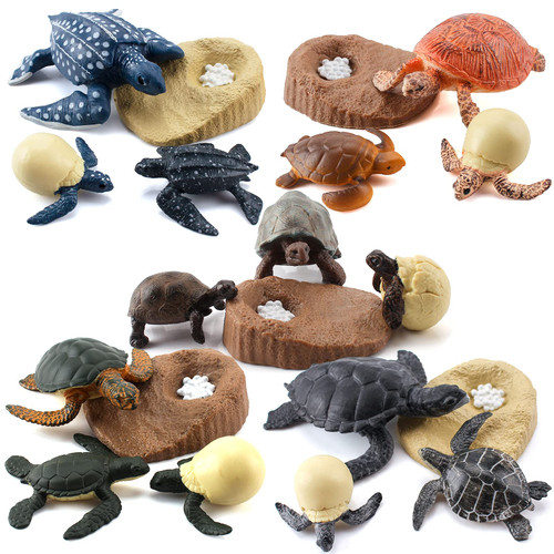 Fantarea 20 PCS Sea Turtle Ocean Sea Marine Animal Model Figures Life Cycle Figurines Elephant Tortoise Party Favors Supplies Cake Toppers Decoration Toys for Boys Girls Kid Toddlers Fantarea 20 PCS Sea Turtle Ocean Sea Marine Animal Model Figures Life Cycle Figurines Elephant Tortoise Party Favors Supplies Cake Toppers Decoration Toys for Boys Girls Kid Toddlers
