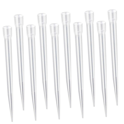 SOLUSTRE 600 pcs Suction Head Low Retention Filter Tip Laboratory Pipette pipettes Dropper 200 pipet Tips lab pipettes Clear lipglosses Clear Pipette Pipettor Tip Plastic Nozzle Liquid