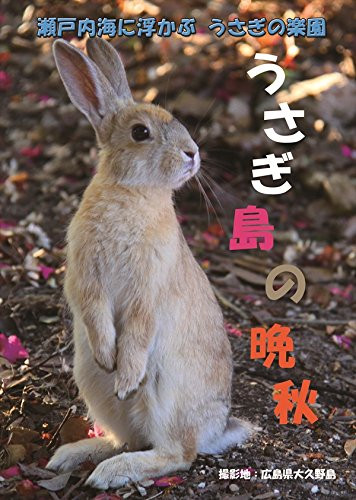 The late fall of Usagi Island [DVD] Autumn Rabbit JAPANESE EDITION