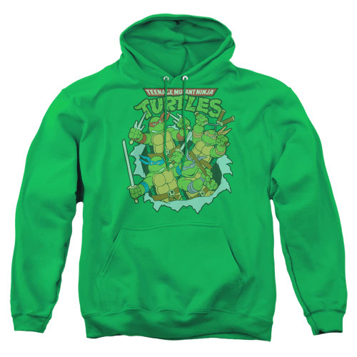 Popfunk Classic TMNT Teenage Mutant Ninja Turtles Unisex Adult Pull-Over Hoodie, Retro Group, 2X-Large