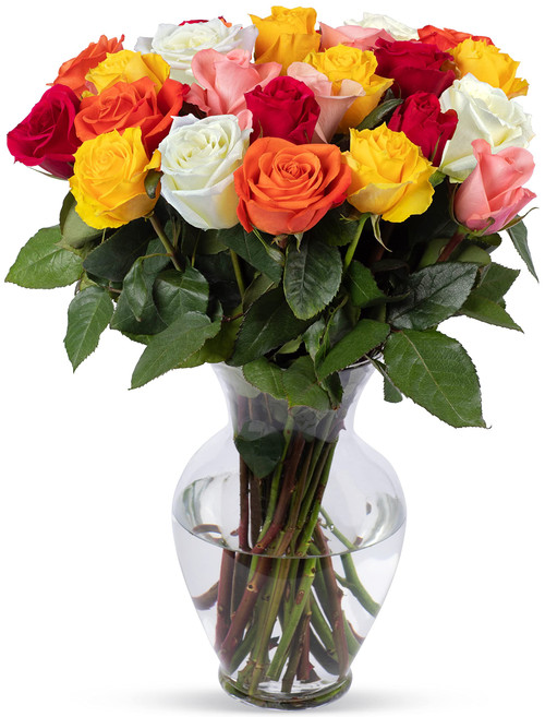 Benchmark Bouquets 24 stem Rainbow Roses, Next Day Prime Delivery, Fresh Cut Flowers, Gift for Anniversary, Birthday, Congratulations, Get Well, Home Decor, Sympathy, Easter, Mother's Day