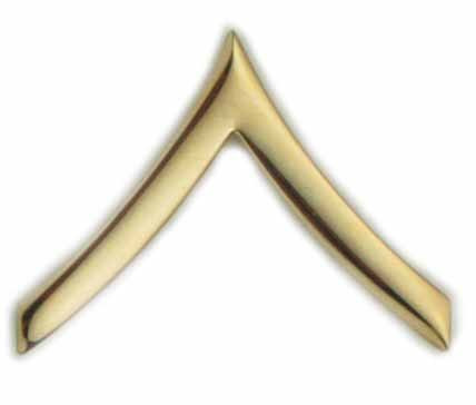 American Packing & Gasket Army Private E-2 Pin-On Rank Pair