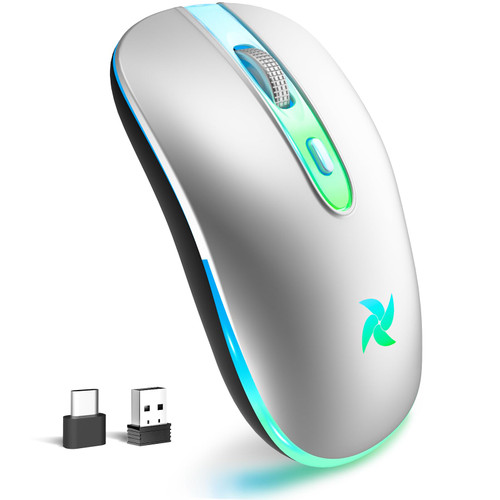 HZD Wireless Mouse, 2.4G Ergonomic Optical LED Mouse with USB Receiver and Type C Adapter, Computer Mouse, 3 Adjustable DPI Levels 1600/1200/800 for Laptop/Tablet/Computer(Silver) HZD Wireless Mouse, 2.4G Ergonomic Optical LED Mouse with USB Receiver and Type C Adapter, Computer Mouse, 3 Adjustable DPI Levels 1600/1200/800 for Laptop/Tablet/Computer(Silver)