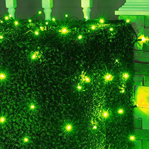 Wintergreen Lighting LED Net Lights Outdoor LED Holiday Lights Net, Outdoor Decorative Lights Christmas Net Lights, Hedge Christmas Lights, Set of 100 (4 x 6 ft, 5mm Lights, Green)