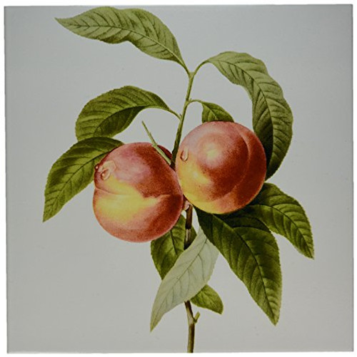 3dRose Dooni Designs Redoute Fruits and Flowers - Redoute Vintage Watercolor Fruit Two Peaches Prunus Sp - 12 Inch Ceramic Tile (ct_106863_4) 3dRose Dooni Designs Redoute Fruits and Flowers - Redoute Vintage Watercolor Fruit Two Peaches Prunus Sp - 12 Inch Ceramic Tile (ct_106863_4)