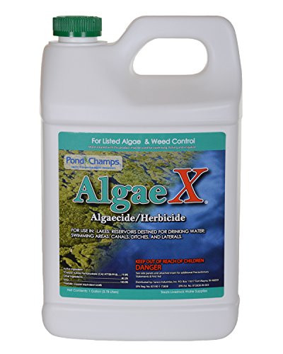 Pond Champs 11700 Algae X 1 Gallon Algaecide/Herbicide