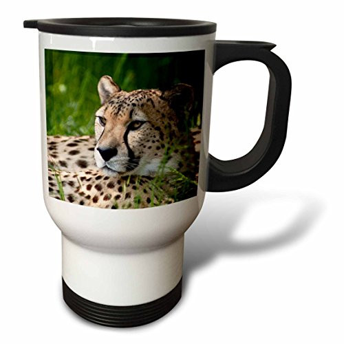 3dRose tm_22237_1 Boston Terrier Puppy Travel Mug, 14-Ounce, Stainless Steel