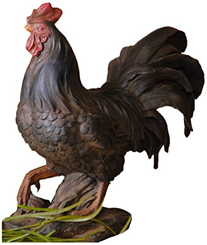 Your Heart's Delight Rooster Decor, 11 by 11-1/2-Inch, Black