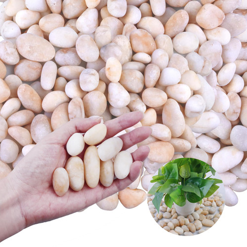 Lechloris 20Ib Cream White River Rock- Decorative Pebbles for Plants - River Rocks for Outdoor Landscaping- 0.3"-0.8" inch High Polished Stones for Aquarium, Terrarium,Vases, Home Decor Lechloris 20Ib Cream White River Rock- Decorative Pebbles for Plants - River Rocks for Outdoor Landscaping- 0.3"-0.8" inch High Polished Stones for Aquarium, Terrarium,Vases, Home Decor