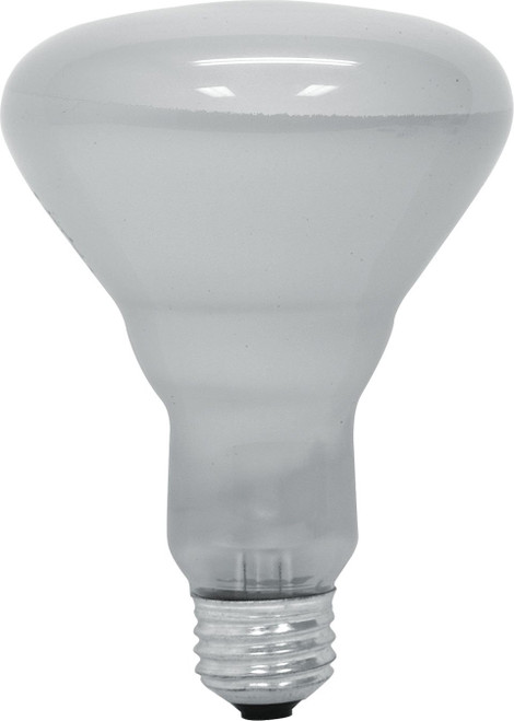 GE Lighting 26805 65-Watt Long Life R30 Flood Light Bulb