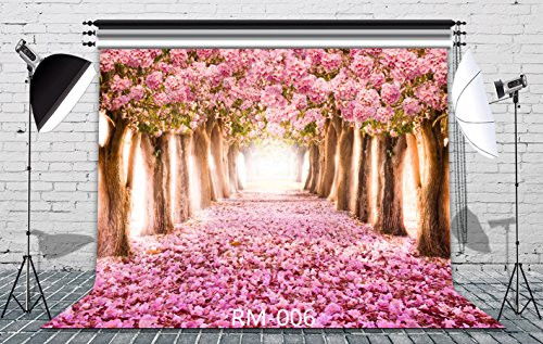 8x8ft Cherry Blossoms Street Vinyl Photography Background Amazing Sakura Flower Road Wedding Photography Backdrop Studio Props RM-006