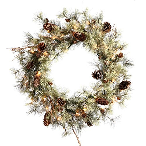 Vickerman Dakota Wreath with 75 PVC Tips, Pine Cones & 35 Dura-Lit Mini Lights, 24", Clear