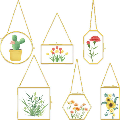 6 Pcs Brass Glass Frame for Pressed Flowers Hanging Picture Frames with Chain Clear Double Glass Frame Gold Floating Frame Artwork Display Frame for Gallery Wall Decor Dried Plant Leaf, 6 Shapes