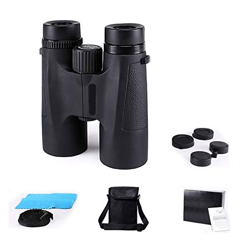 Fun&H 10x42 Roof Prism Binoculars for Adults, High Power Compact Professional Binocular with Low Light Night Vision Waterproof Fogproof Binoculars for Bird Watching Travel Stargazing Hunting Concerts
