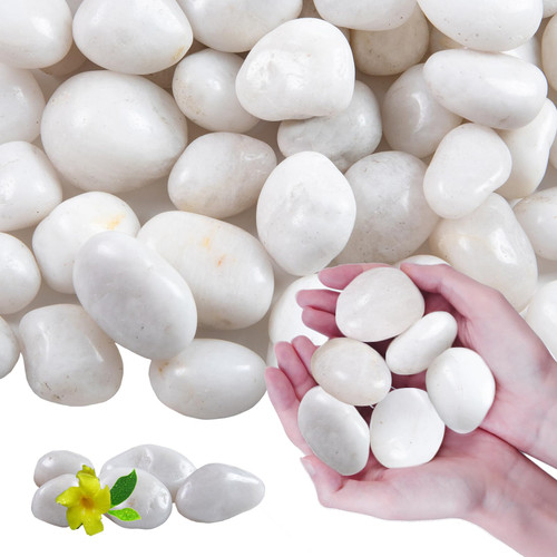 Lechloris 20Ib White River Rocks for Landscaping- High Polished Pebbles for Plants-Garden Decorative Stones-1-2" Large Plant Rocks,Ideal for Aquarium, Home Decor Lechloris 20Ib White River Rocks for Landscaping- High Polished Pebbles for Plants-Garden Decorative Stones-1-2" Large Plant Rocks,Ideal for Aquarium, Home Decor