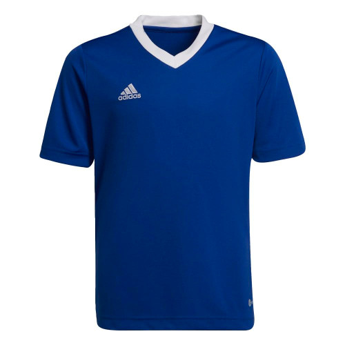 adidas Kids' Entrada 22 Jersey, Team Royal Blue, Large