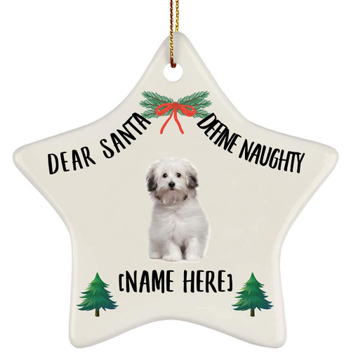 Personalized Name Bolognese Dog Gray 2023 Christmas Tree Ornaments Gifts Dear Santa Define Naughty Star Ceramic Hanging Holiday Decorations