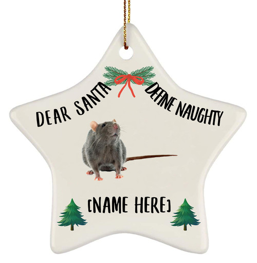 Personalized Name Rat Gray 2023 Christmas Tree Ornaments Gifts Dear Santa Define Naughty Star Ceramic Hanging Holiday Decorations