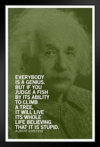 Albert Einstein Everybody is A Genius Green Quote Framed Poster 14x20 inch