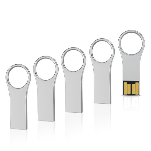 RAOYI 5 Pack 32GB Metal Key Shape USB Flash Drive, USB 2.0 Memory Stick Thumb Drives Jump Drive for PC Laptop Desktop Computer-Silver