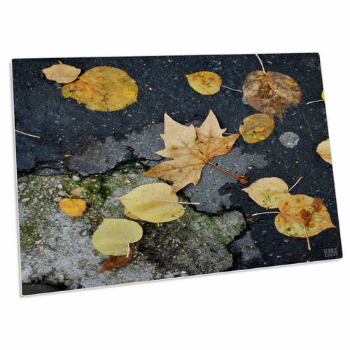 3dRose Kike Calvo Paris - Paris France, Tree Leafs on The Floor - Desk Pad Place Mats (dpd-10490-1) 3dRose Kike Calvo Paris - Paris France, Tree Leafs on The Floor - Desk Pad Place Mats (dpd-10490-1)
