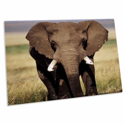 3dRose Kenya, Maasai Mara National Reserve, African Bush... - Desk Pad Place Mats (dpd-206347-1)