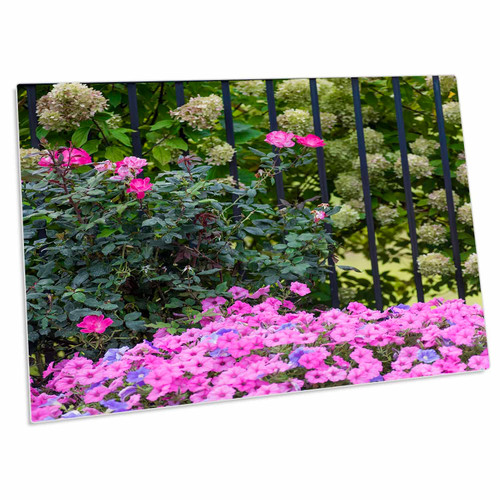 3dRose Impatiens Growing by a Wrought Iron Fence. - Desk Pad Place Mats (dpd-367019-1)