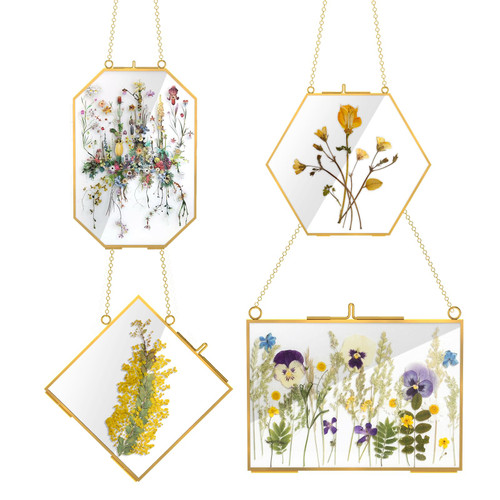 4 Pcs Glass Picture Frame for DIY Pressed Flower,Golden Hanging Photo Frame Clear Glass Artwork Display Frame with Chain for Dried Plant Gallery Wall Decor DIY Home Wall Art (Gold)