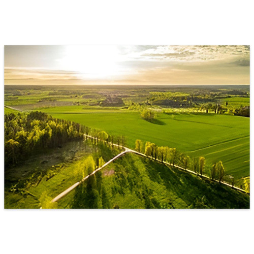 Jigsaw Puzzles 1000 Pieces for Adult Horizon View Meadows Country Road Puzzle Game for Family Wooden Puzzle Toy Educational Games Puzzles for Home Decor Jigsaw Puzzles 1000 Pieces for Adult Horizon View Meadows Country Road Puzzle Game for Family Wooden Puzzle Toy Educational Games Puzzles for Home Decor