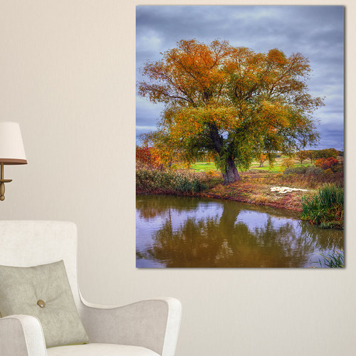 PT8731-12-20 Willow Near Pond-Landscape Photography Canvas Art Print-12x20, 20" H x 12" W x 1" D 1P, Green