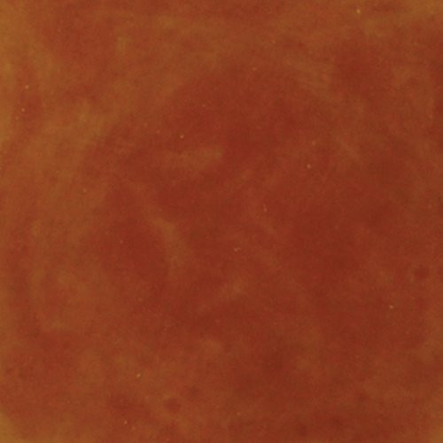 Concrete Acid StainSemi-Transparent Professional Grade Cement Stain (16 Ounce, Clay Canyon)