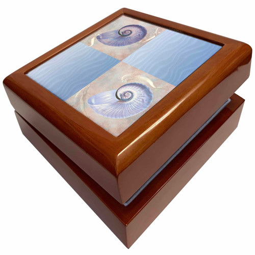 Dolphins with Shells - Beach Themed Art, Jewelry Box jb-108745-1