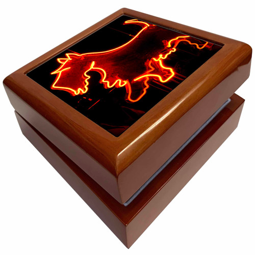 Albuquerque, New Mexico, Route 66 diner - US32 JMR1204 - Julien McRoberts, Jewelry Box jb-92758-1