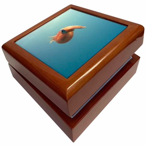 Reef Squid, Jewelry Box jb-200893-1