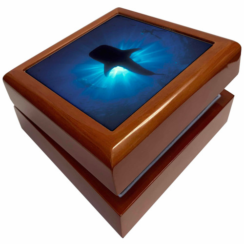Australia, Ningaloo Reef. Whale shark, snokelers-AU02 SWE0001 - Stuart Westmorland, Jewelry Box jb-75177-1