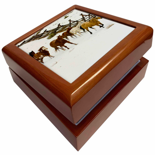 USA, Wyoming, Shell, Horses Running in Snow - US51 TEG0022 - Terry Eggers, Jewelry Box jb-149054-1